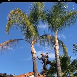 Orange County Pro work at a Reasonable price